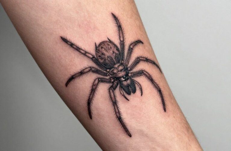 Can You Tattoo Over Spider Veins Tattoo Meaning: Symbolism & Design