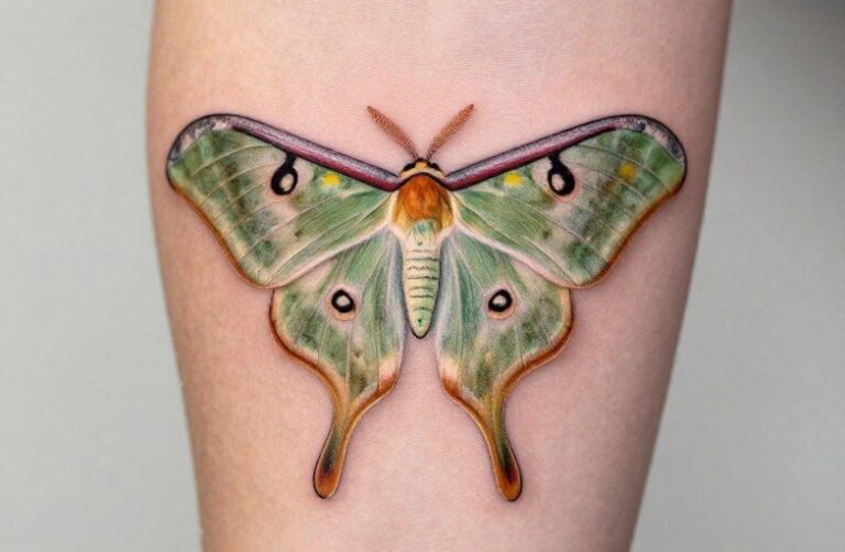 Luna Moth Tattoo Meaning: Transformation, Light, and Impermanence