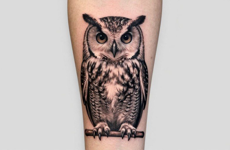 Owl Tattoo Meaning: Wisdom, Mystery & Night Vision