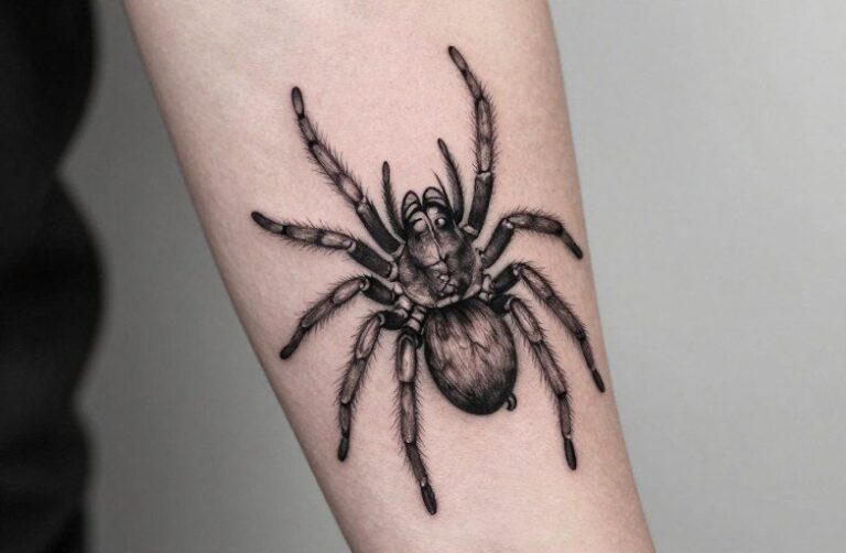 Real Spider Tattoo Meaning: Symbolism, Placement & Style