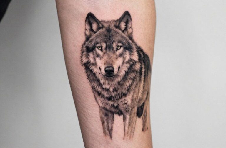 What Does A Wolf Symbolize Tattoo Meaning: Pack, Path & Ink
