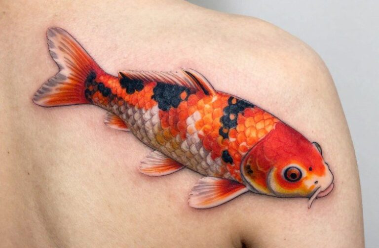 Japanese Koi Carp Tattoo Meaning: Perseverance & Transformation