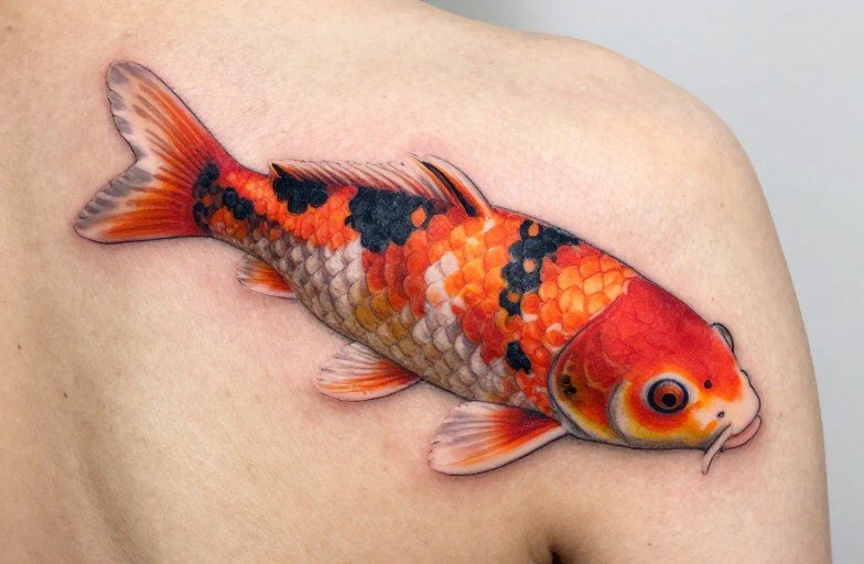 Japanese Koi Carp Tattoo Meaning: Perseverance & Transformation