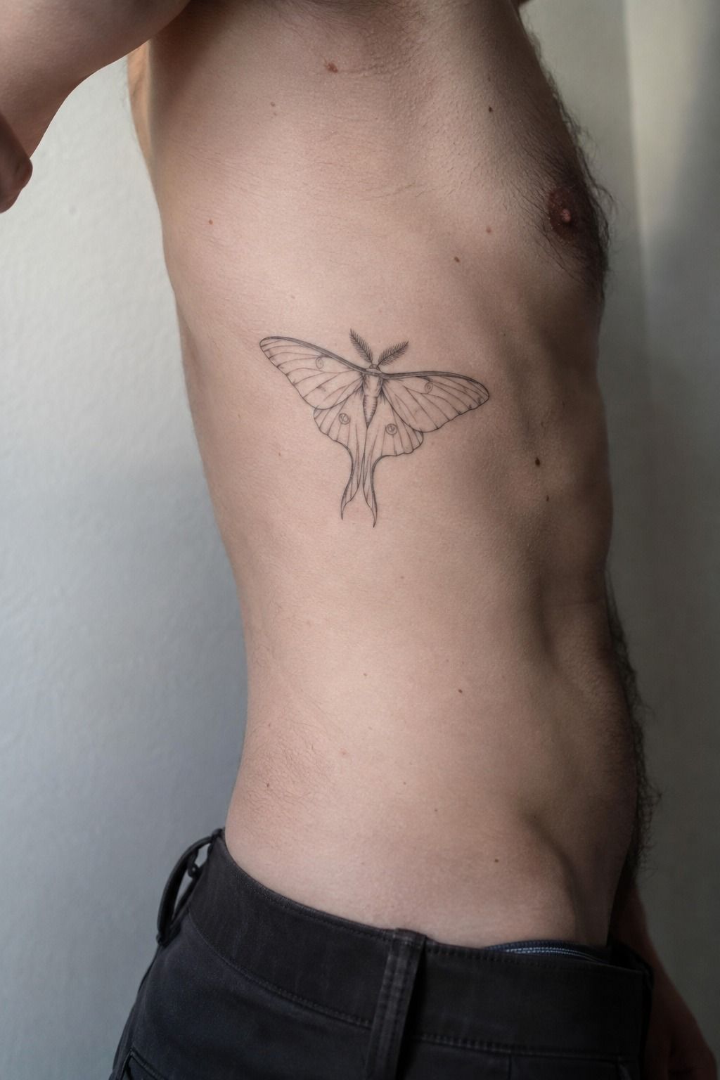 Start With Fine-Line Small Moth Tattoo Ideas: The Fine-Line Threshold
