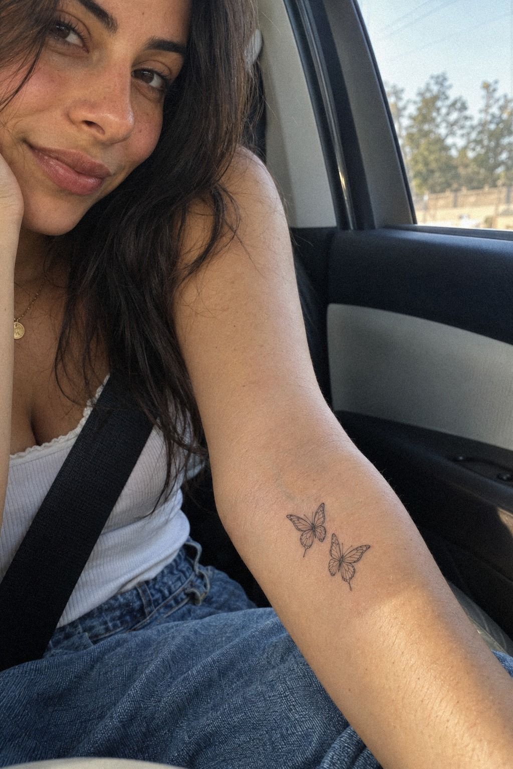 Give Twin Butterflies One Meaning
