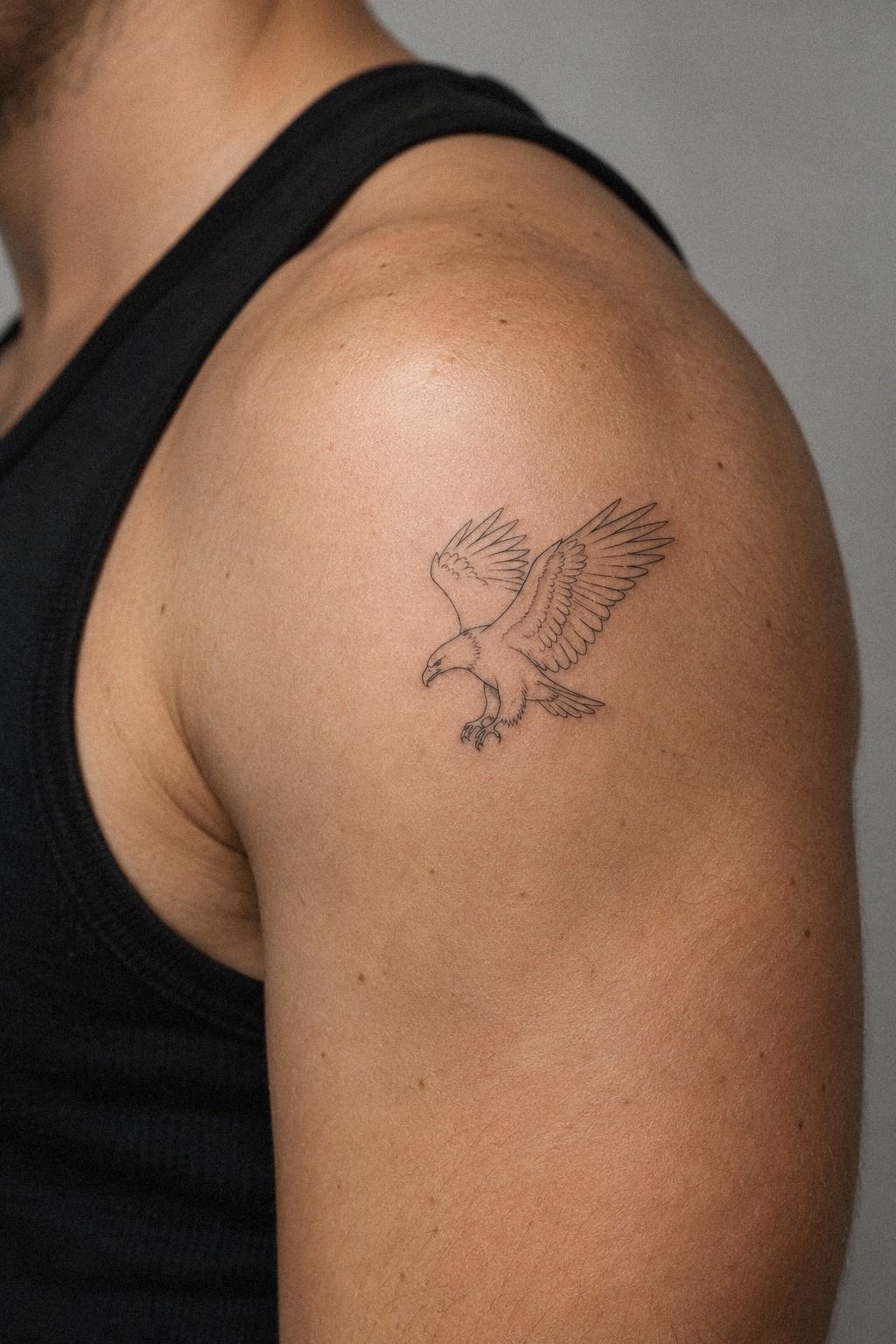 Where a Small Eagle Holds Its Meaning